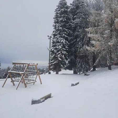 - Golden Fox 18 - Pohorske Terase *