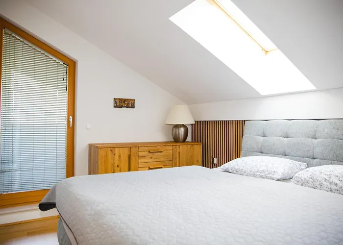 Apartment - Golden Fox 18 - Pohorske Terase