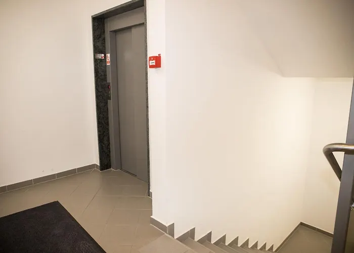 - Golden Fox 18 - Pohorske Terase *