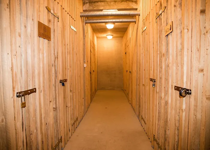 - Golden Fox 18 - Pohorske Terase